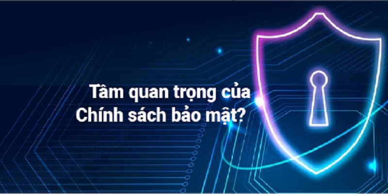 Nội dung Chính sách bảo mật V9BET